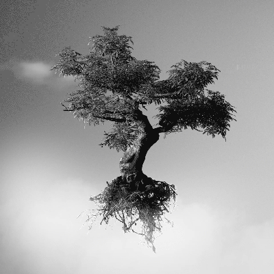 Clouds float behind a tree